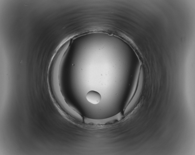 X0000085211034200703301637