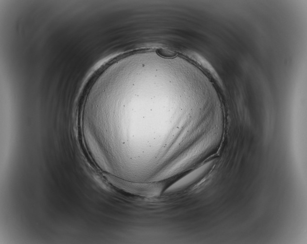 X0000085211035200703301637