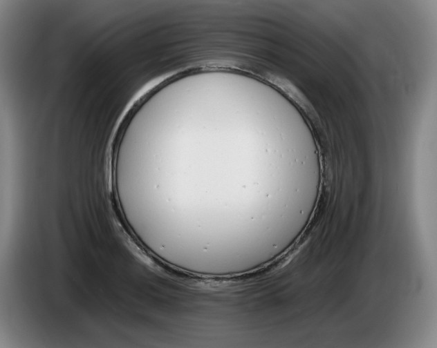 X0000085211036200703301637