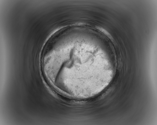 X0000085211039200703301637