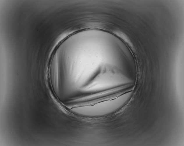 X0000085211040200703301637