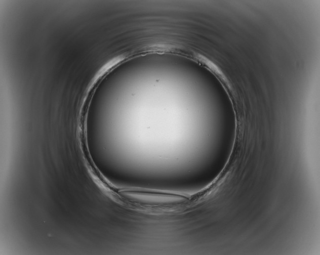 X0000085211042200703301637