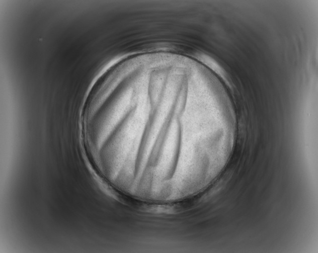 X0000085211047200703301637