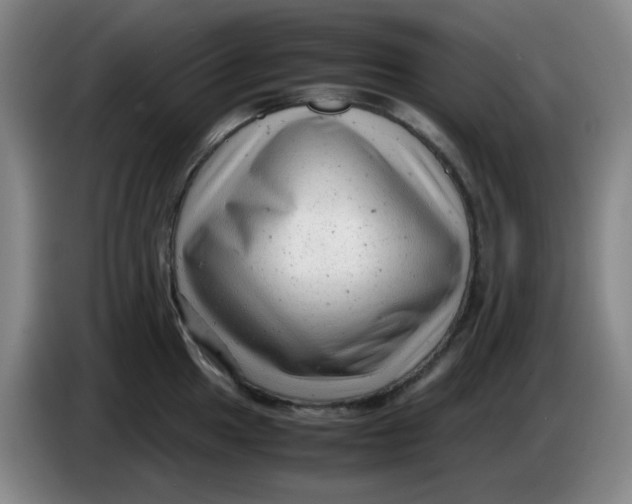 X0000085211049200703301637