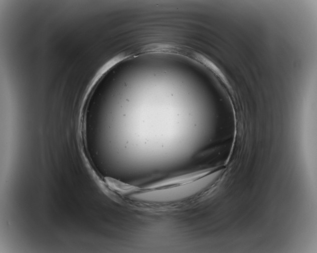 X0000085211050200703301637