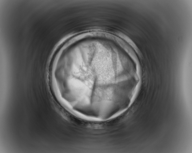 X0000085211051200703301637