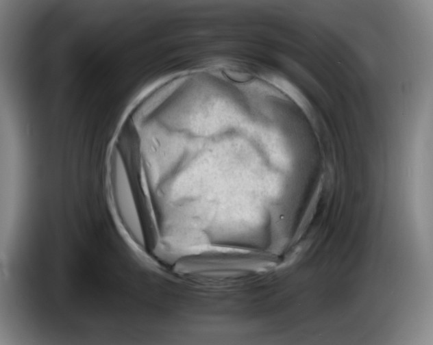 X0000085211055200703301637