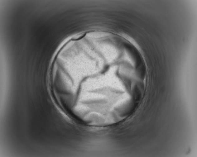 X0000085211056200703301637