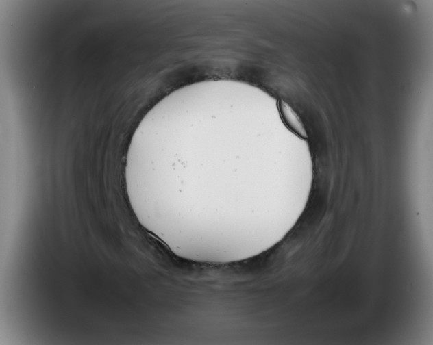 X0000085211057200703301637