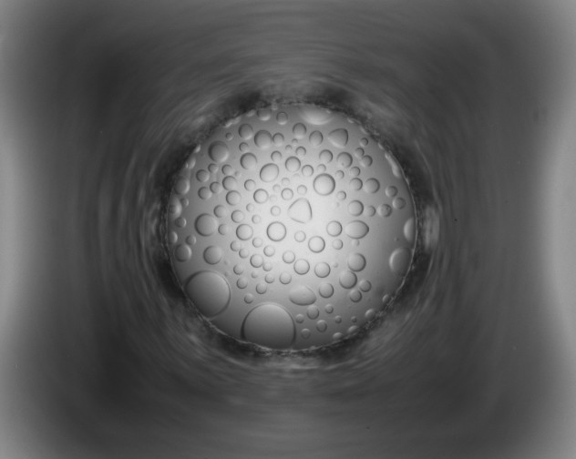 X0000085211059200703301637