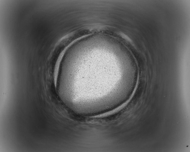 X0000085211063200703301637