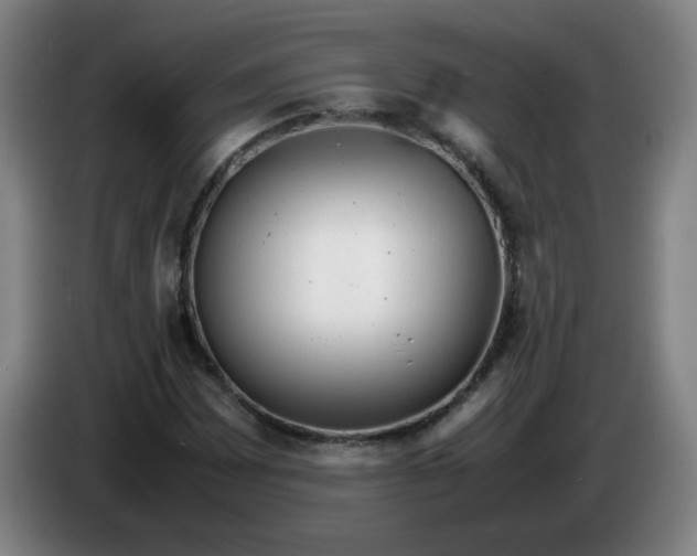 X0000085211065200703301637