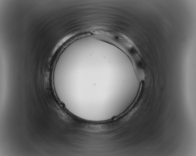 X0000085211066200703301637