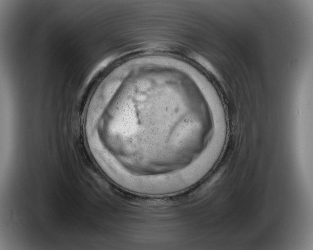 X0000085211067200703301637