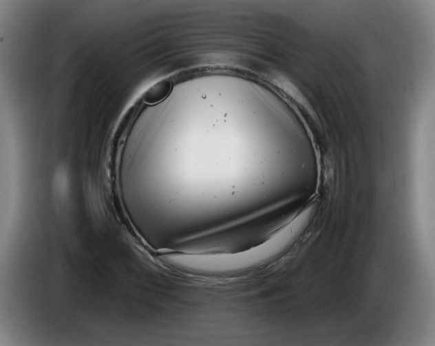 X0000085211068200703301637