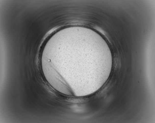 X0000085211074200703301636