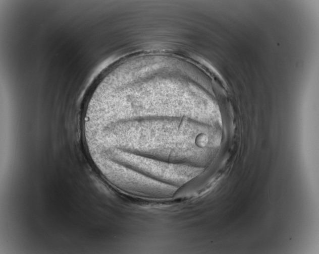 X0000085211075200703301636