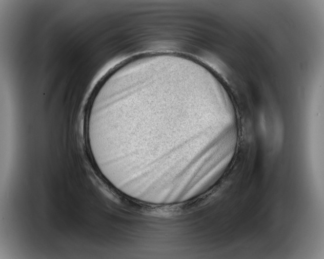 X0000085211078200703301636