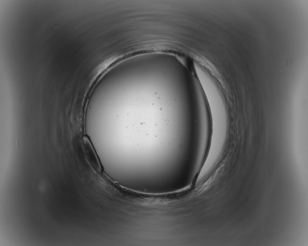 X0000085211081200703301636