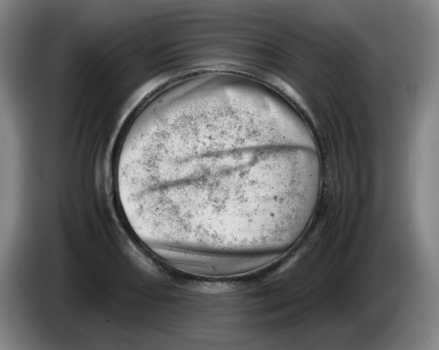 X0000085211082200703301636