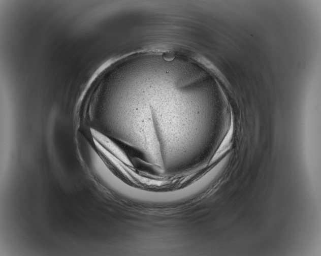 X0000085211083200703301636