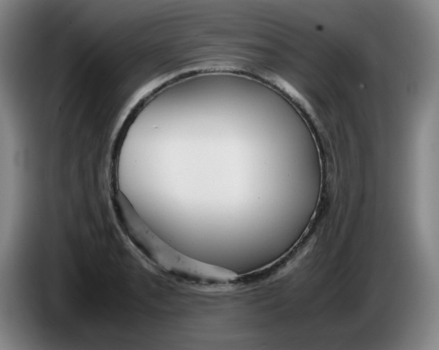 X0000085211085200703301636