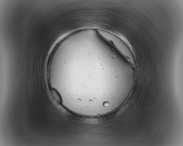 X0000085211088200703301636