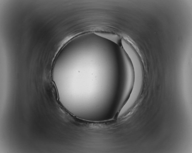 X0000085211089200703301636