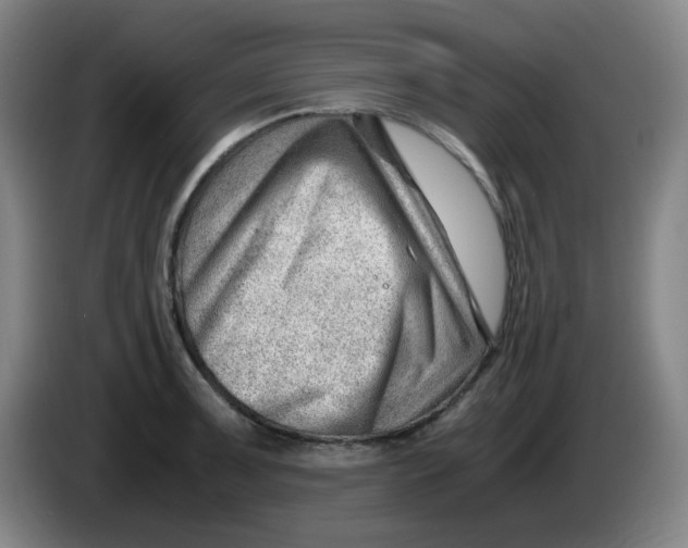 X0000085211091200703301636