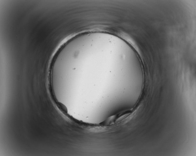 X0000085211093200703301636