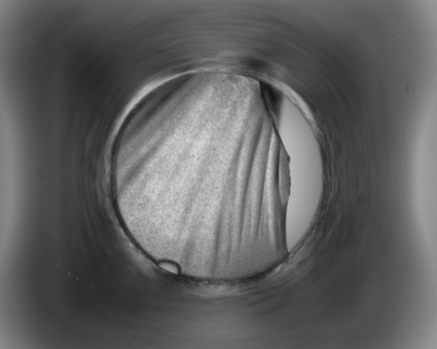 X0000085211099200703301636