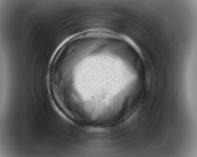 X0000085211100200703301636