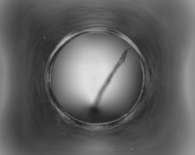 X0000085211101200703301636