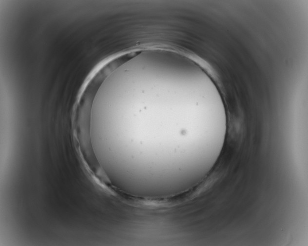 X0000085211102200703301636