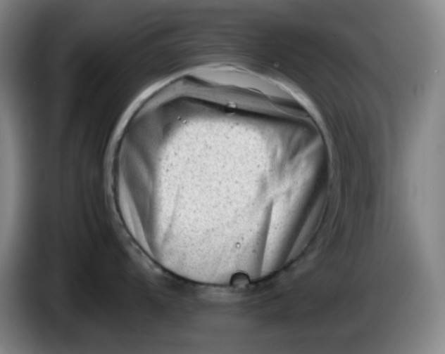 X0000085211104200703301636