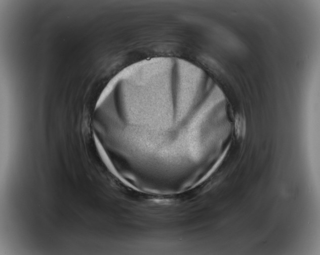 X0000085211107200703301635