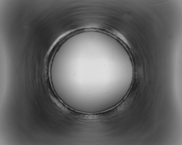 X0000085211116200703301636