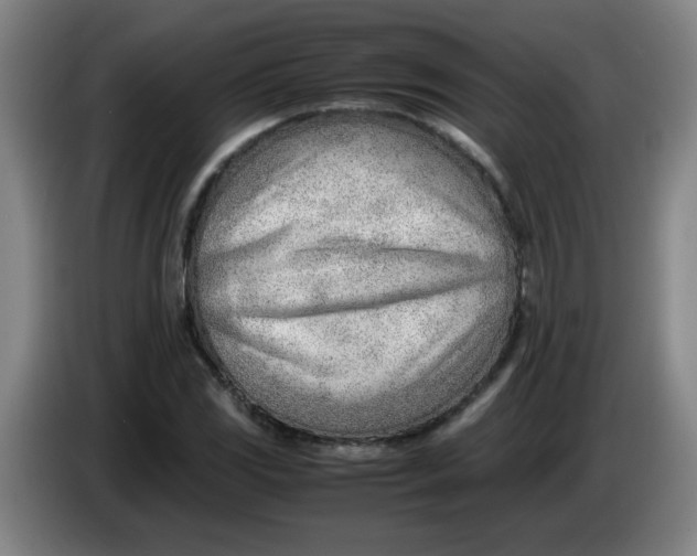 X0000085211117200703301636