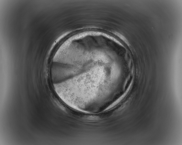 X0000085211119200703301636