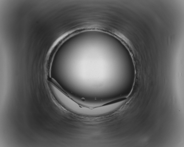 X0000085211120200703301636