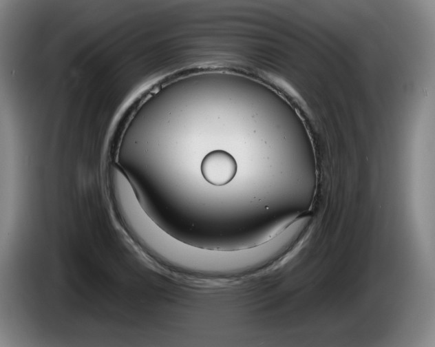 X0000085211122200703301636