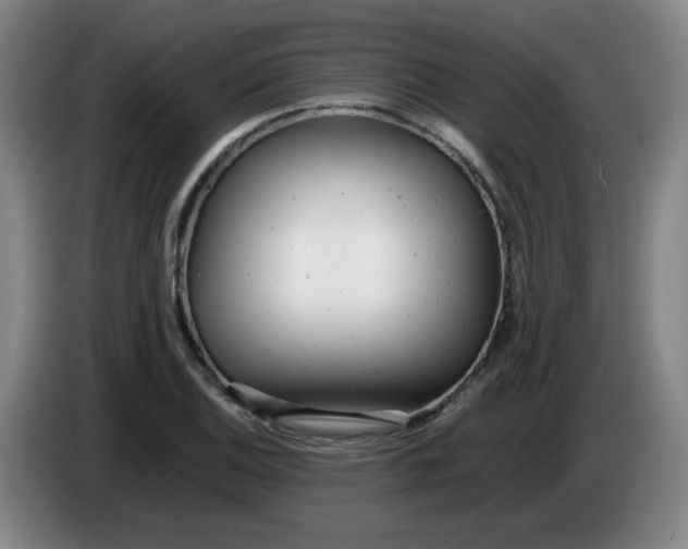 X0000085211124200703301636