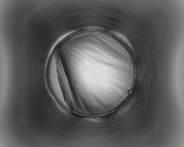 X0000085211125200703301636