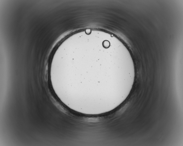 X0000085211126200703301636