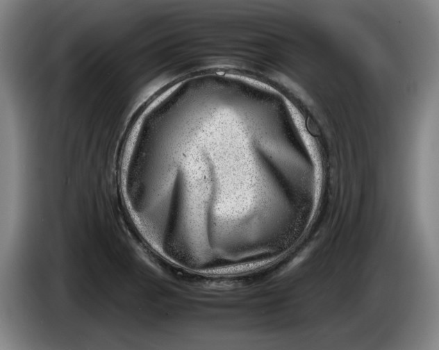 X0000085211129200703301636