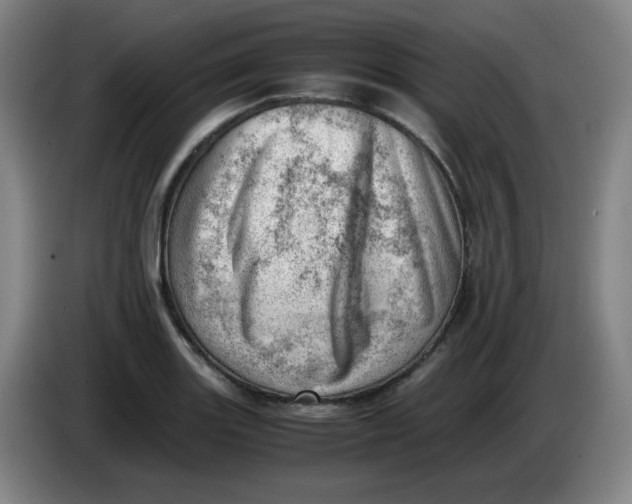 X0000085211131200703301636