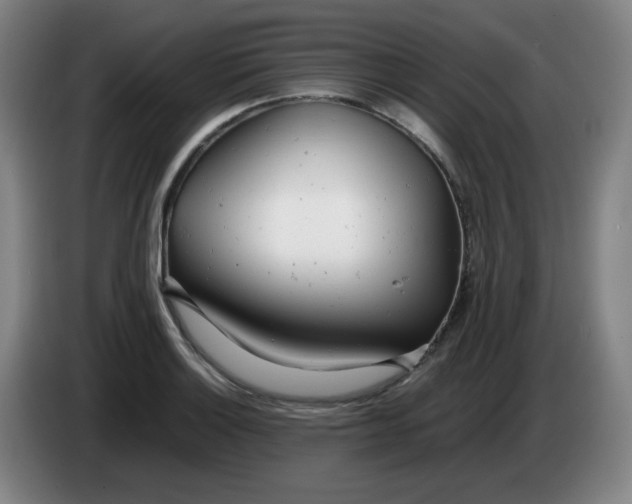 X0000085211132200703301636