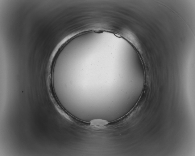 X0000085211136200703301636