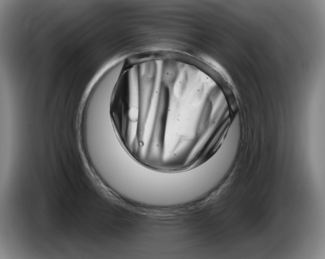 X0000085211138200703301636