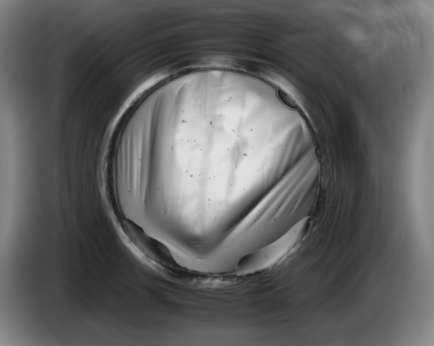 X0000085211139200703301636